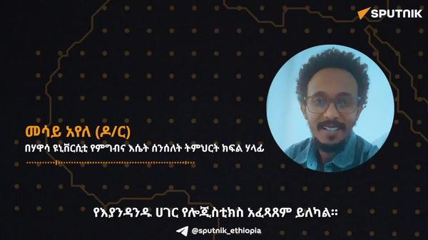 የአፍሪካን ትስስር ለማጠናከር ከአካላዊ የሎጂስቲክስ መሠረተ ልማቶች ባሻገር የማይታያዩ የአሠራር ችግሮችን መፍታት ያስፈልጋል - ባለሙያ - Sputnik አፍሪካ