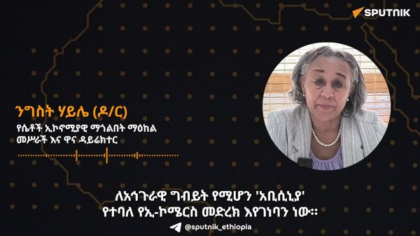 ለአኅጉራዊ ግብይት የሚሆን 'አቢሲኒያ' የተባለ የኢ-ኮሜርስ መድረክ እያዳበርን ነው – የሴቶች ኢኮኖሚያዊ ማጎልበት ማዕከል ዋና ዳይሬክተር - Sputnik አፍሪካ