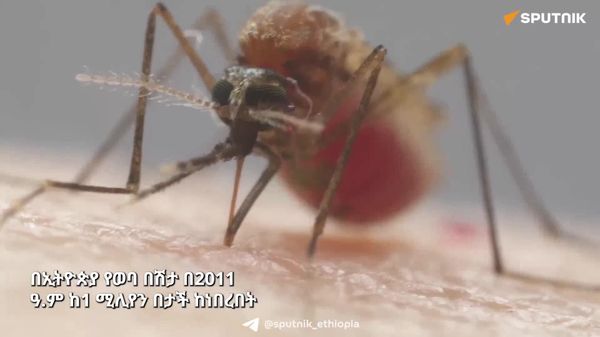 ከ1 ወደ 10 ሚሊዮን፦ በኢትዮጵያ የወባ በሽታ ስርጭት አሳሳቢ ጭማሪ - Sputnik አፍሪካ