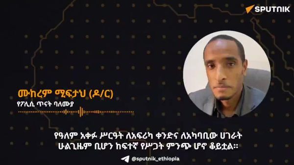 የምዕራባውያኑ ዓለም አቀፍ ሥርዓት ለአፍሪካ ቀንድና ለአፍሪካ ሀገራት ከፍተኛ የሥጋት ምንጭ ሆኖ ቆይቷል - ኢትዮጵያዊ ምሁር - Sputnik አፍሪካ