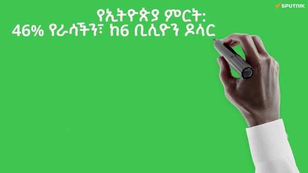 ኢትዮጵያ የሀገር ውስጥ ምርት ድርሻዋን 46 - Sputnik አፍሪካ