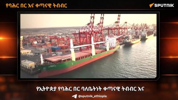 የኢትዮጵያ ፍትሐዊ የባሕር በር ጥያቄ እና ቀጣናዊ ትብብር - Sputnik አፍሪካ