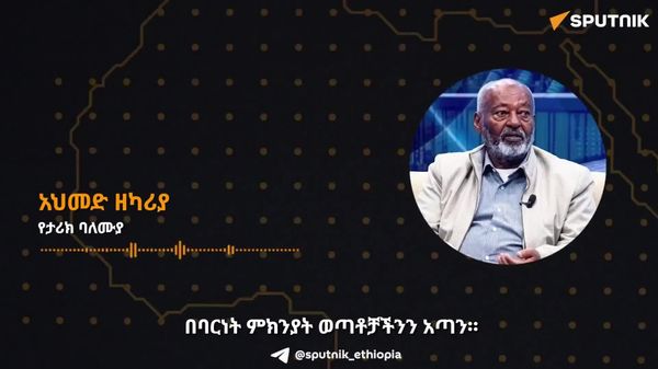 የምዕራባውያን ኢኮኖሚ የተገነባው ከአፍሪካ በተወሰደው ባርነት ላይ ነው – ኢትዮጵያዊ የታሪክ ተመራማሪ - Sputnik አፍሪካ