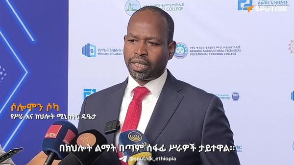 ባለፉት አምስት ዓመታት ከ1 - Sputnik አፍሪካ
