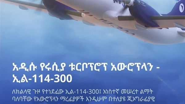 ለቀጣናዊ የአቪዬሽን ፈታኝ ሁኔታዎች የሩሲያ ምላሽ - Sputnik አፍሪካ