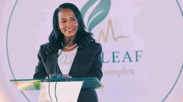 የአዲስ አበባ ከንቲባ መዲናዋ በሚቀጥሉት አምስት ዓመታት ደረጃዋን የጠበቀች የጤና ቱሪዝም መዳረሻ እንደምትሆን አረጋገጡ - Sputnik አፍሪካ
