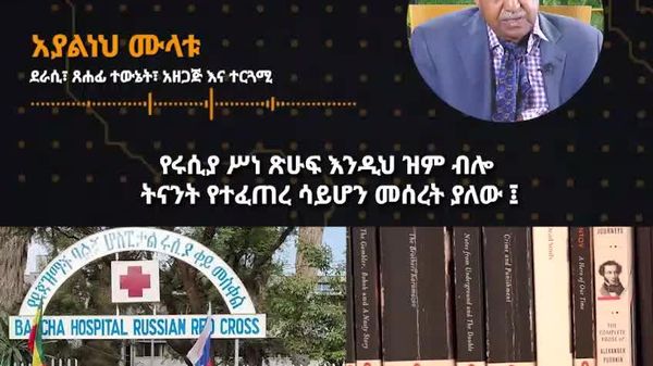 የሩሲያ እና ኢትዮጵያ ሥነ-ጽሁፍ ግንኙነት ታሪካዊ መሠረት አለው - አያልነህ ሙላቱ - Sputnik አፍሪካ