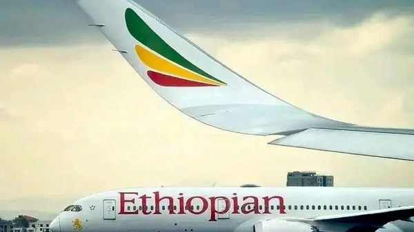 የኢትዮጵያ አየር መንገድ በናሚቢያ አዲስ ብሔራዊ አየር መንገድ ለማቋቋም ድርድር ጀመረ - ዘገባዎች - Sputnik አፍሪካ