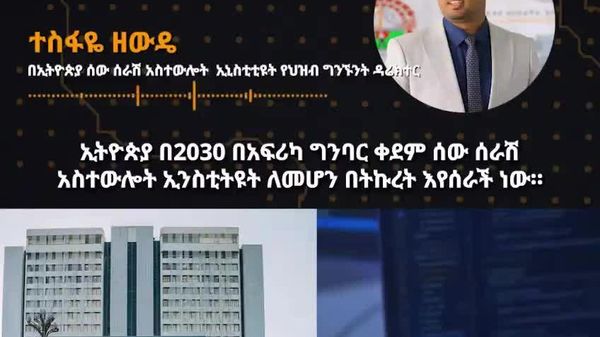 ኢትዮጵያ በ2030 በአፍሪካ ግንባር ቀደም የሰው ሠራሽ አስተውህሎት ኢንስቲትዩት ለመገንባት እየሠራች ነው - የኢትዮጵያ ሰው ሠራሽ አስተውህሎት ኢንስቲትዩት - Sputnik አፍሪካ