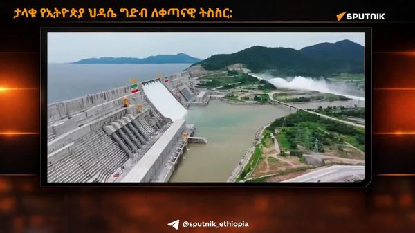 ታላቁ የኢትዮጵያ ሕዳሴ ግድብ ቀጣናውን እያስተሳሰረ ነው - የኢትዮጵያ ኤሌክትሪክ ኃይል - Sputnik አፍሪካ