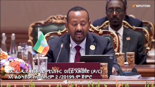 በብሪክስ የጋራ የአቋም መግለጫ ድጋፍ ያገኙ የኢትዮጵያ ጥረቶች - Sputnik አፍሪካ