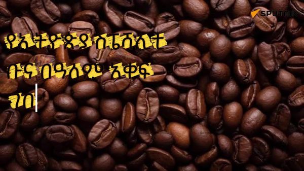 የኢትዮጵያ ስፔሻሊቲ ቡና ክብረወሰን ባስመዘገበ ከፍተኛ የዋጋ ተሸጠ - Sputnik አፍሪካ