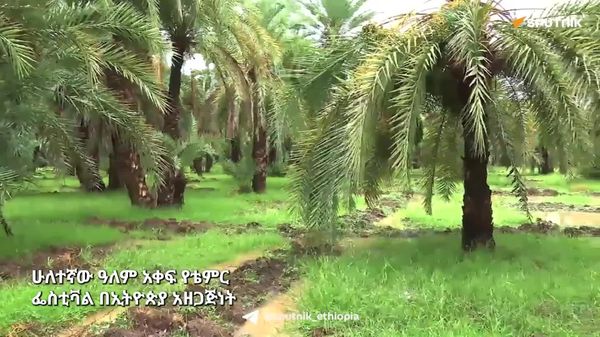 የቴምር ምርት በኢትዮጵያ፦ የሥራ ዕድል፣ የውጭ ምንዛሬ እና ሰፊ የኢንቨስትመንት እድል - Sputnik አፍሪካ
