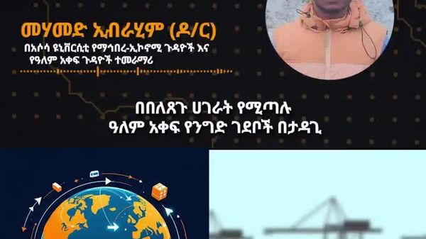 የዓለን አቀፍ ንግድ ገደቦች አፍሪካውያን በዓለም ገበያ ተወዳዳሪ እንደሰይሆኑ እያደረገ ነው -ኢትዮጵያዊ ተመራማሪ - Sputnik አፍሪካ