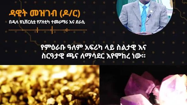 አፍሪካ የሀብት ሉዓላዊነቷን ማስከበር አለባት - ኢትዮጵያዊ ምሁር - Sputnik አፍሪካ